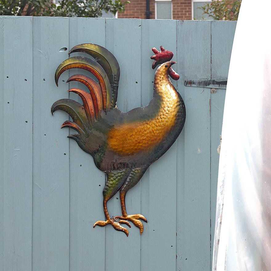 Image of bee on flower
